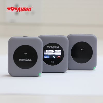 20 Hz 20khz Frequency Range Dual Channel Wireless Handheld Microphone for Broadcasting
