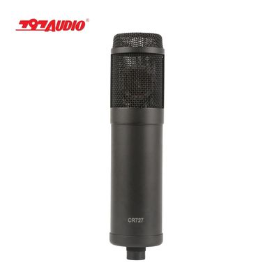 ATCR02 Muiti-directional Patterns Vacuum Tube Condenser Microphone 797Audio 20 Kids Bluetooth Speaker 128