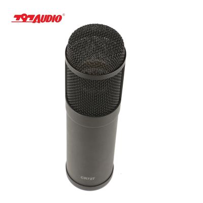 ATCR02 Muiti-directional Patterns Vacuum Tube Condenser Microphone 797Audio 20 Kids Bluetooth Speaker 128
