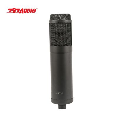 ATCR02 Muiti-directional Patterns Vacuum Tube Condenser Microphone 797Audio 20 Kids Bluetooth Speaker 128