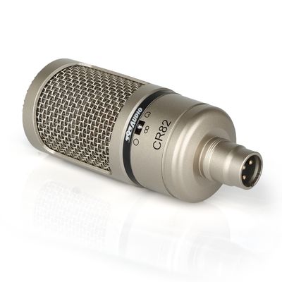 Professional Metal Condenser Microphone with 20-20Hz Frequency Range and 149dB Max.SPL