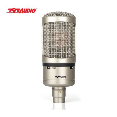 Professional Metal Condenser Microphone with 20-20Hz Frequency Range and 149dB Max.SPL