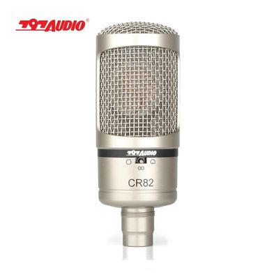 Professional Metal Condenser Microphone with 20-20Hz Frequency Range and 149dB Max.SPL