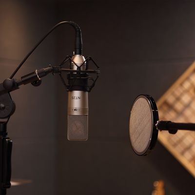 797Audio ACR01 Gaming Recording Mic with 48V DC Phantom Power and Metal Wired Design