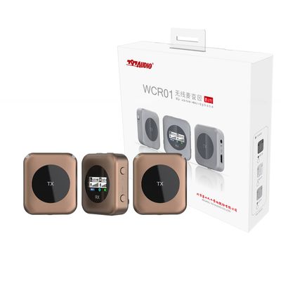 797Audio AWCR01 2.4G Hz Professional Wireless Microphone with Speaker Handheld