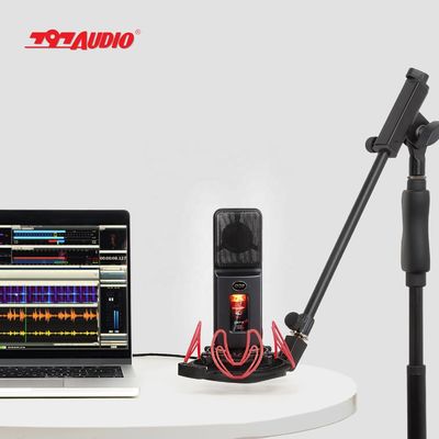 797Audio ATCR01 Professional Recording Noise Cancelling Program Audio Tube Condenser Microphone Wireless Microphone Wired