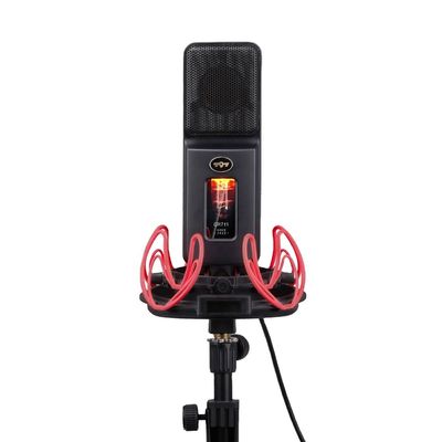 797 Audio ATCR01 OEM/ODM Large Diaphragm Mic for Kids Singing Wired Mike Speaker