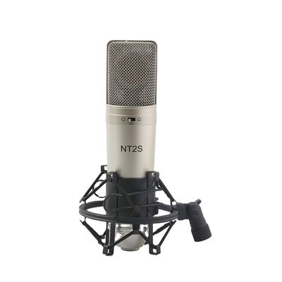 BM800 135 Audio ACR01 OEM/ODM Micro Studio Recording Mic with Noise Cancelling Function