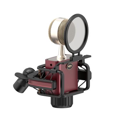 797AUDIO D501 Professional USB Condenser Microphone NEW Professional Gaming Microphone Singing Microphone for PC