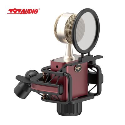 Speech 797AUDIO D501 Desktop Interview Live Streaming Professional Condenser Microphone
