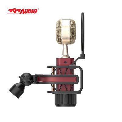 Speech 797AUDIO D501 Desktop Interview Live Streaming Professional Condenser Microphone