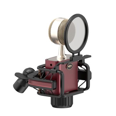 797audio D501 High Quality Sound Professional Recording Podcast Studio Mic Tube Condenser Microphone Wireless Kids Microphone