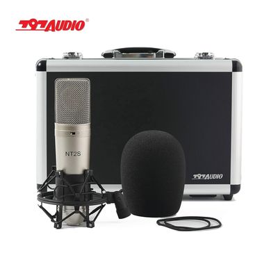 797Audio ACR01 OEM ODM Professional Condenser Microphone Studio Microphone for Recording
