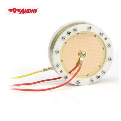 797 AUDIO CY002 34mm Centering Dual Condenser Microphone Capsule For K87/U87ai, 6um Mylar, Gold-plated Diaphragm
