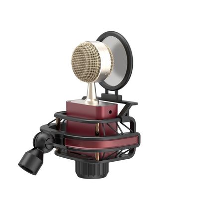 797Audio D501 High quality Professional usb Type C Condenser Microphone For Singer