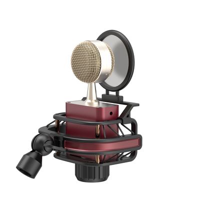 797Audio D501 USB Condenser Microphone with Shockmount and Pop Filter - Black