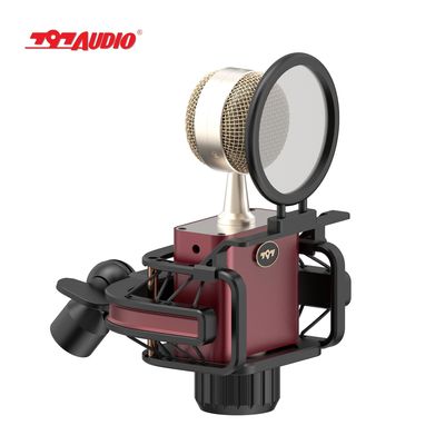797Audio D501 USB Cardioid Condenser Vocal Microphone with Built-In Preamp for Studio Broadcasting Podcasting Streaming Micrfono
