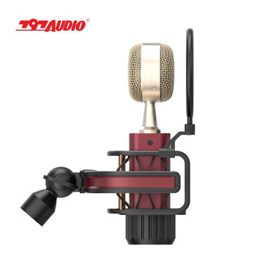 797Audio D501 USB Cardioid Condenser Vocal Microphone with Built-In Preamp for Studio Broadcasting Podcasting Streaming Micrfono