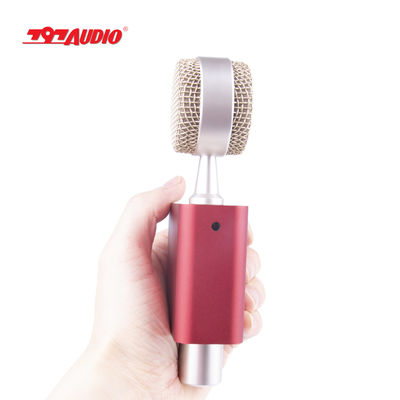 797Audio D501 USB Cardioid Condenser Vocal Microphone with Built-In Preamp for Studio Broadcasting Podcasting Streaming Micrfono