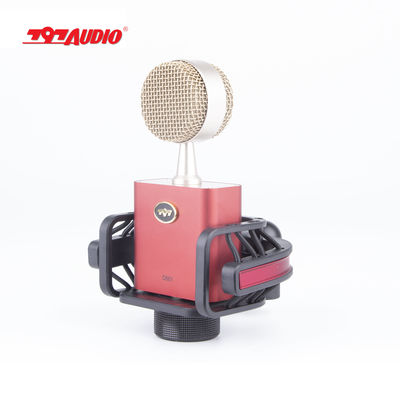 797Audio D501 USB Cardioid Condenser Vocal Microphone with Built-In Preamp for Studio Broadcasting Podcasting Streaming Micrfono