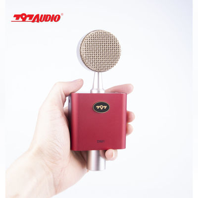 797Audio D501 USB Recording Condenser Microphone