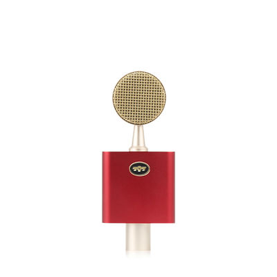 797Audio D501 High-End USB Cardioid Recording Condenser Microphone Noise Cancelling Light-weight Portable