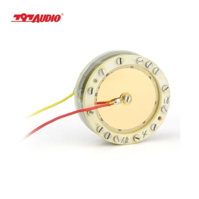 797AUDIO CY001 34mm Large Diaphragm Centering Single Condenser High Sensitive Microphone Capsule Gold-plated DIY Replacement