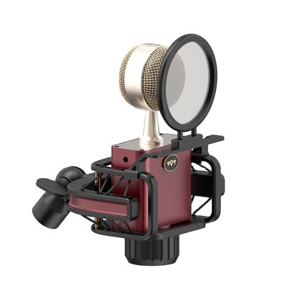 797Audio D501 Professional Studio Recording Microphone Smart Portable USB Desktop Live Streaming Microphone Noise Reduction