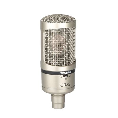 797Audio ACR02 Professional Studio Recording Condenser Microphone Metal Wired Microphone 48V DC Phantom Kids Gaming Speaking