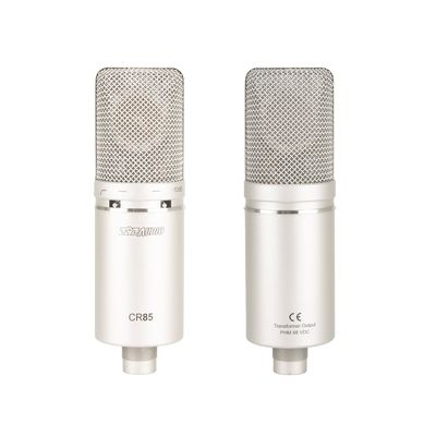 Stage Performance Wired Microphone with Audio Interface and Vibration Resistance