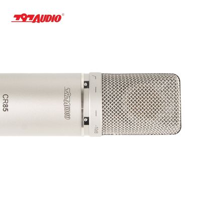 Stage Performance Wired Microphone with Audio Interface and Vibration Resistance