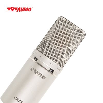 Stage Performance Wired Microphone with Audio Interface and Vibration Resistance