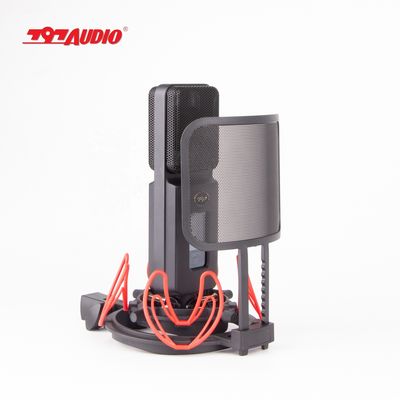 797Audio ATCR01 TUBE Microphone end Classic Sound for Professional TUBE Applications