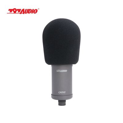 797AUDIO ATCR03 Professional Vacuum Tube Condenser Microphone Top Choice for Recording