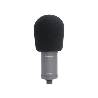 797Audio ATCR03 Vacuum Tube Condenser Microphone for Interview Recording and Karaoke